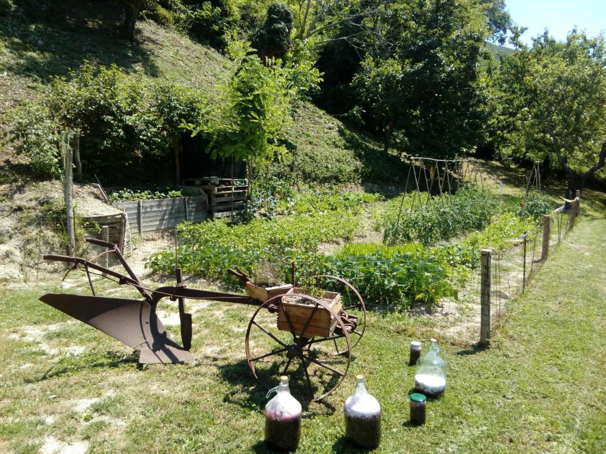 Bed & Breakfast Sentiero 54 Cantiano Bagian luar foto