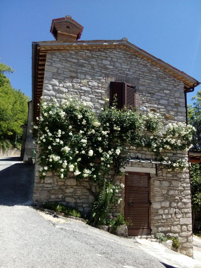 Bed & Breakfast Sentiero 54 Cantiano Bagian luar foto