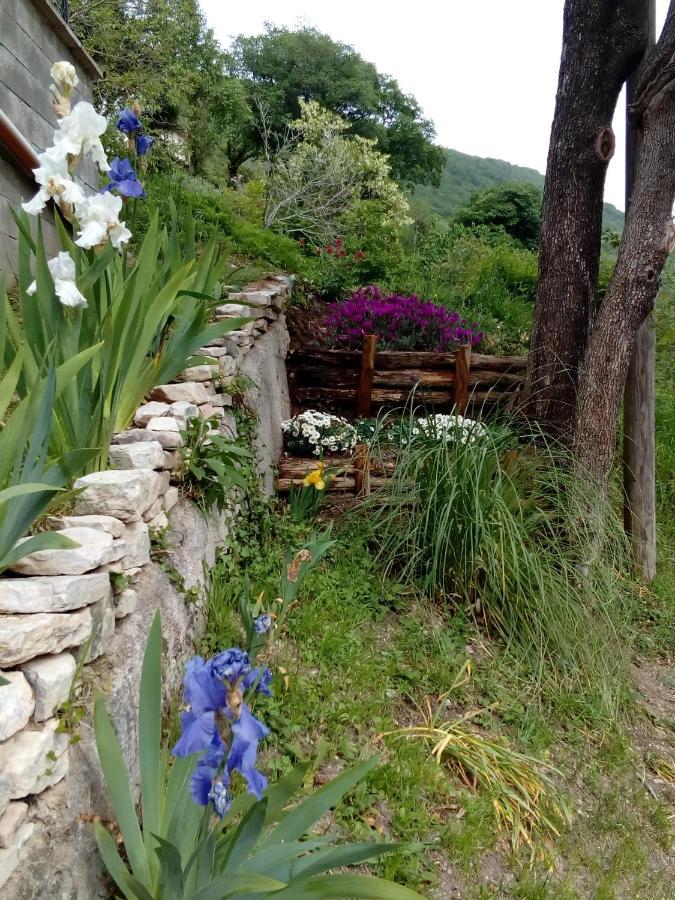 Bed & Breakfast Sentiero 54 Cantiano Bagian luar foto