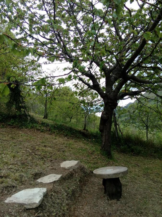 Bed & Breakfast Sentiero 54 Cantiano Bagian luar foto